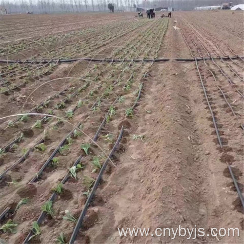 Vegetable Greenhouse Drip Irrigation Zone